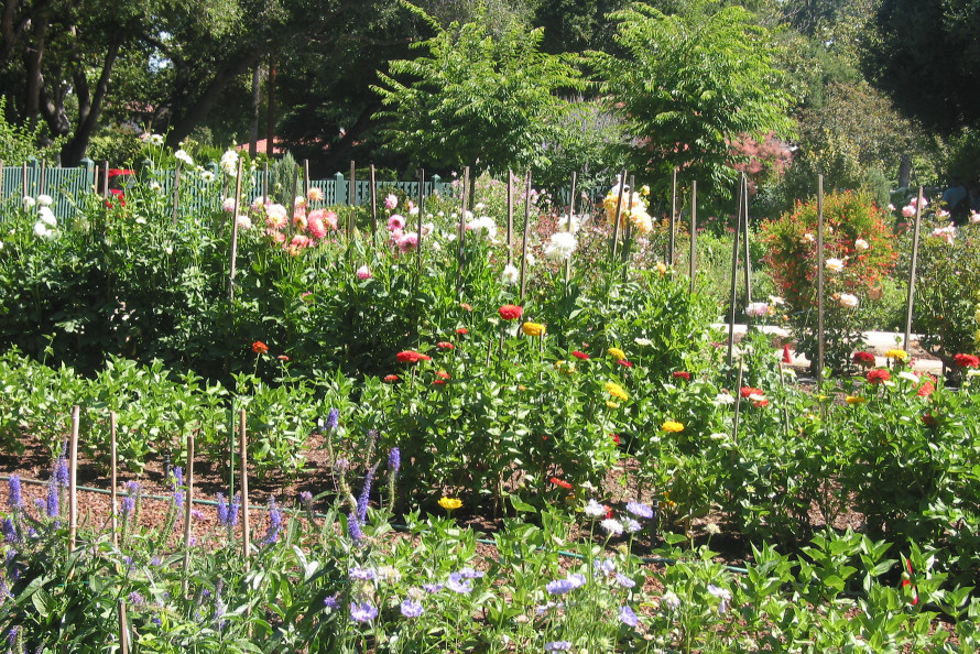 Biodiversity in Urban Gardens (BUG) Initiative Workshop