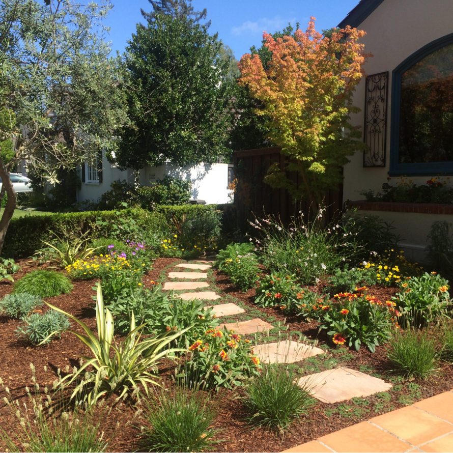 Redesigning your Front Yard without a Lawn