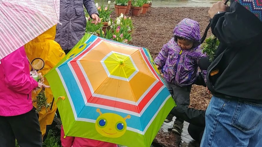 April 2019 Second Saturday – Nature Hunt, Crafts and More
