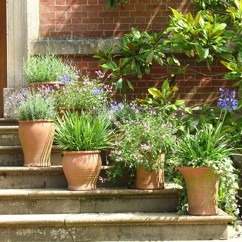 Container Gardening for Big and Small Spaces