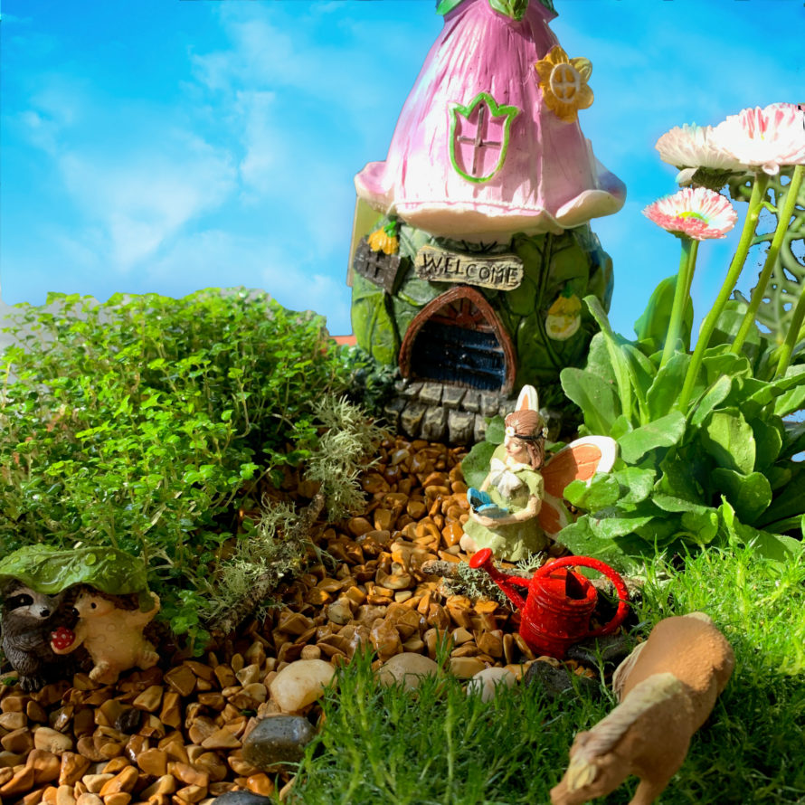 Create a Magical Fairy Garden