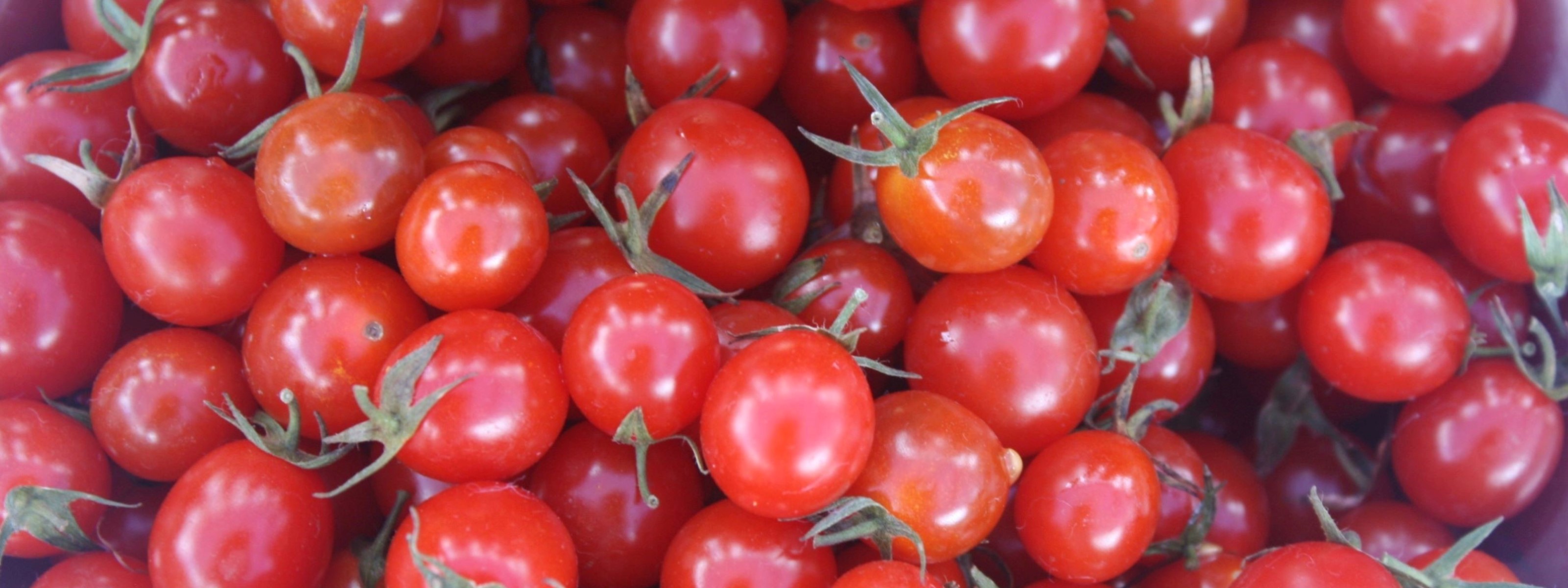 Cherry tomatoes header photo