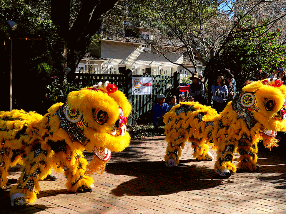 Nepali Dance Clipart Gif