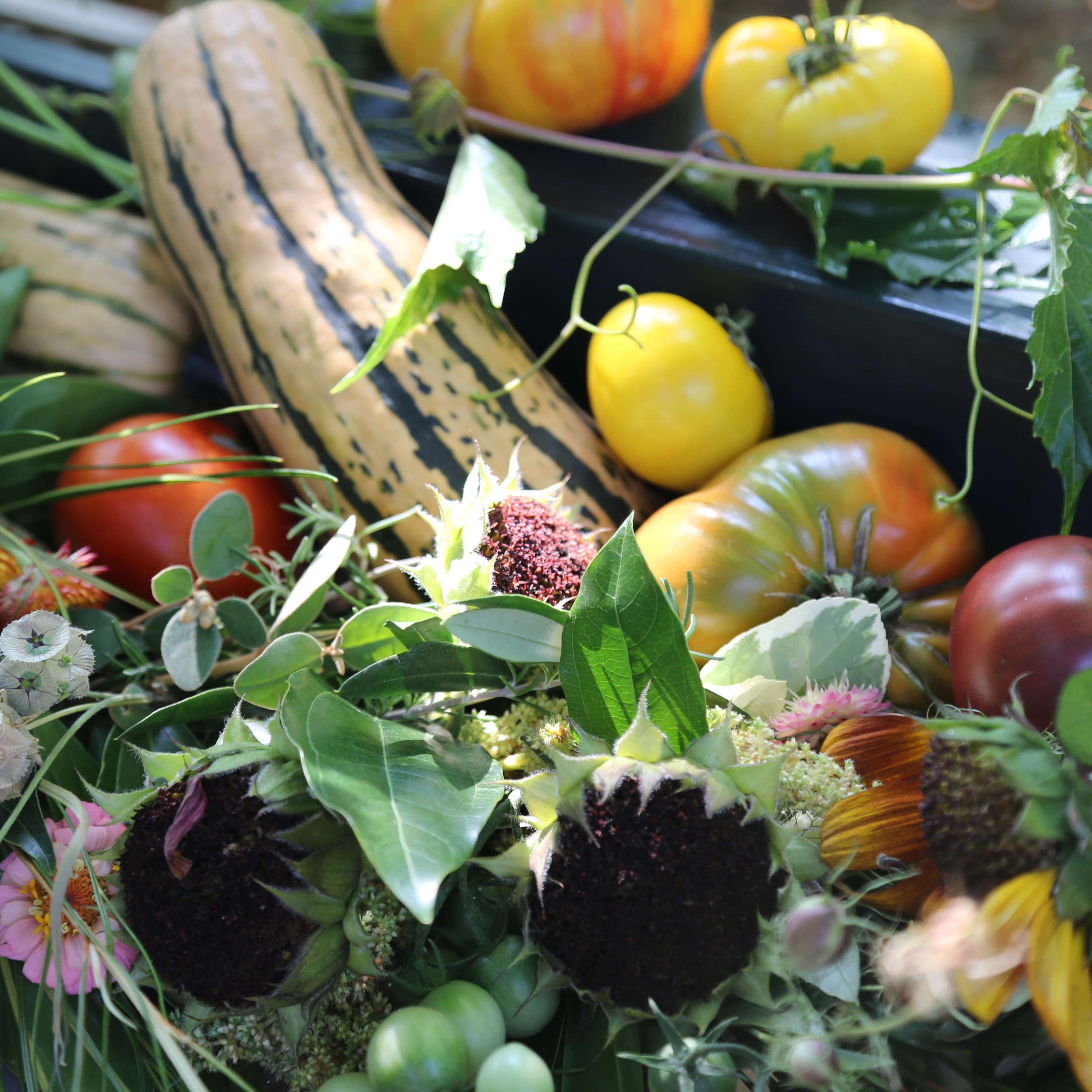 Organic Vegetable Garden Basics — Online