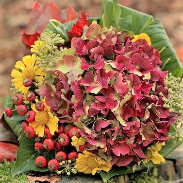 Create a Seasonal and Bountiful Centerpiece for Thanksgiving