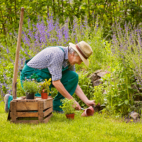 Move Like You Are Meant To: A Guide to Safe Gardening