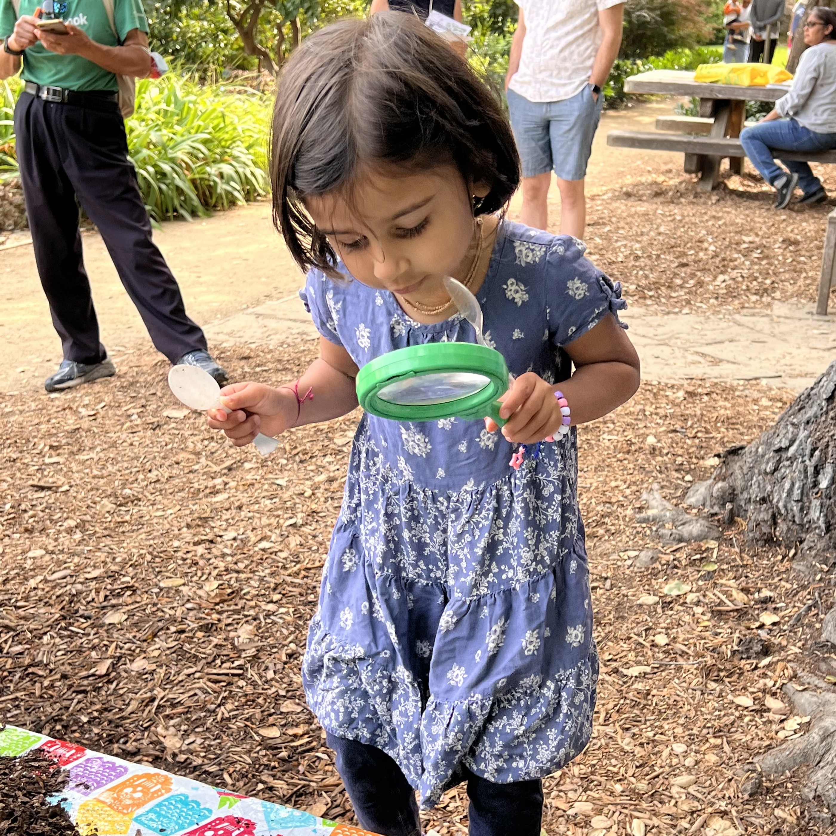 A little girls looks through a microscope, photo by Sheri Moody