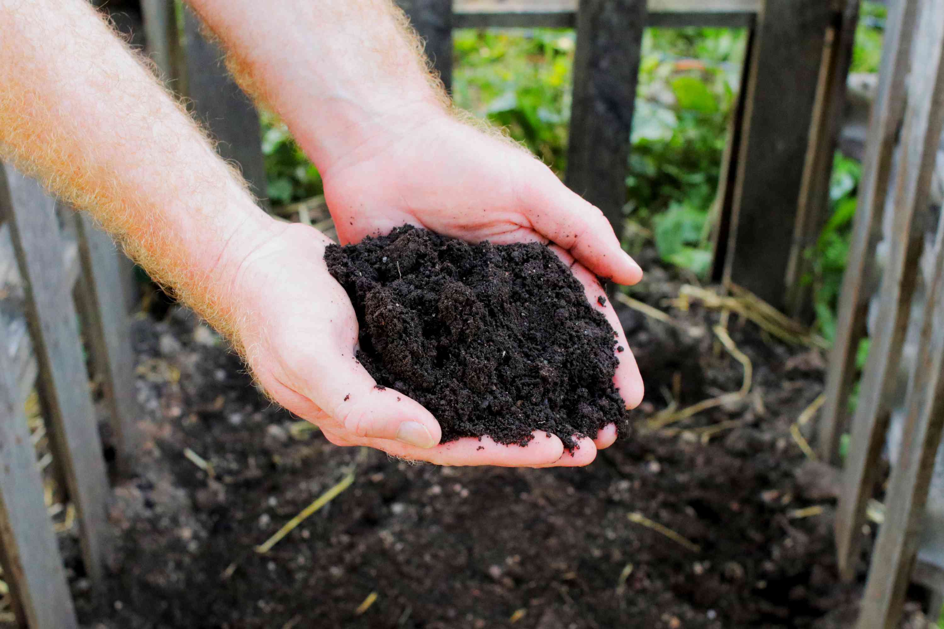 Improving Soil Health