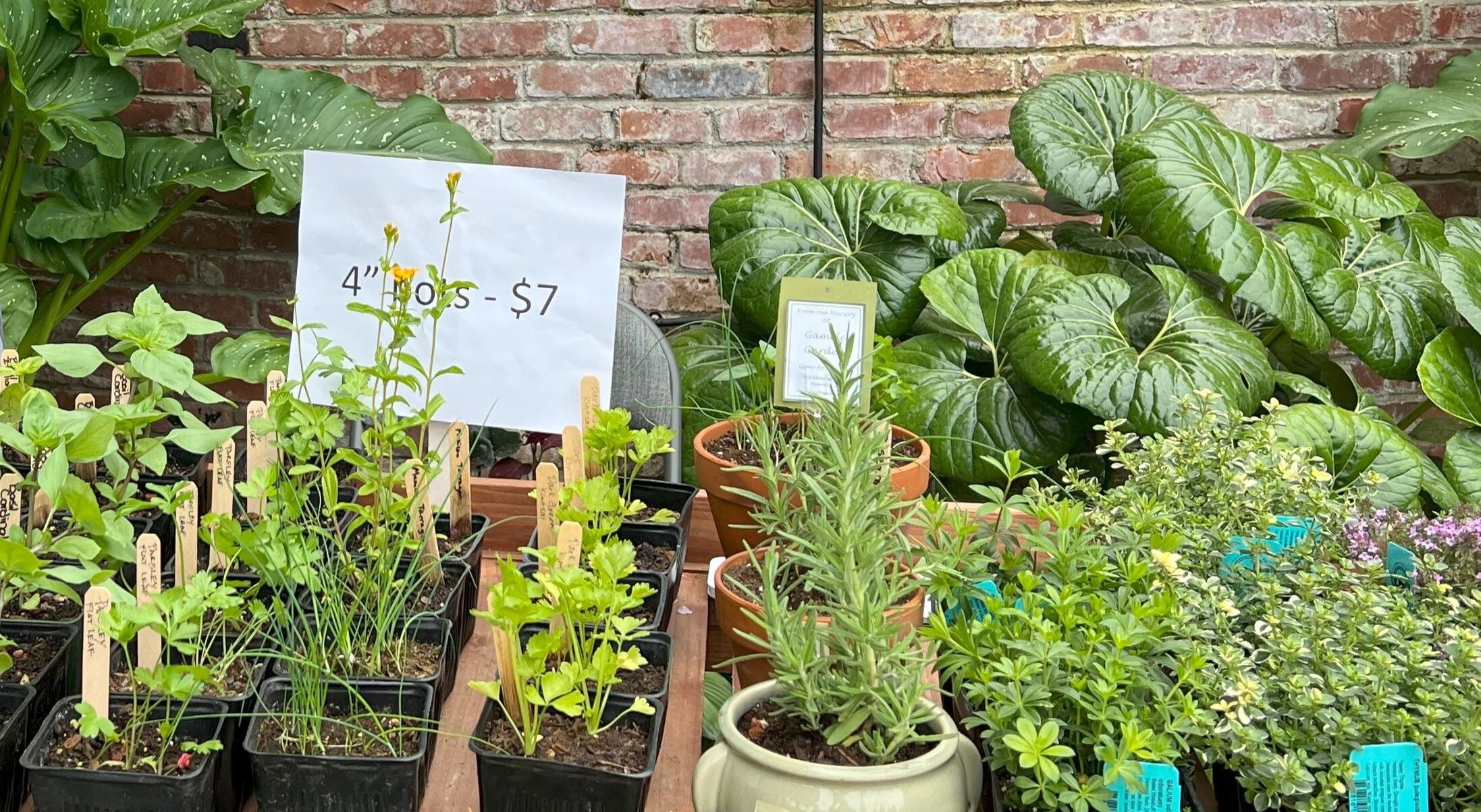 Gamble Garden plant sale