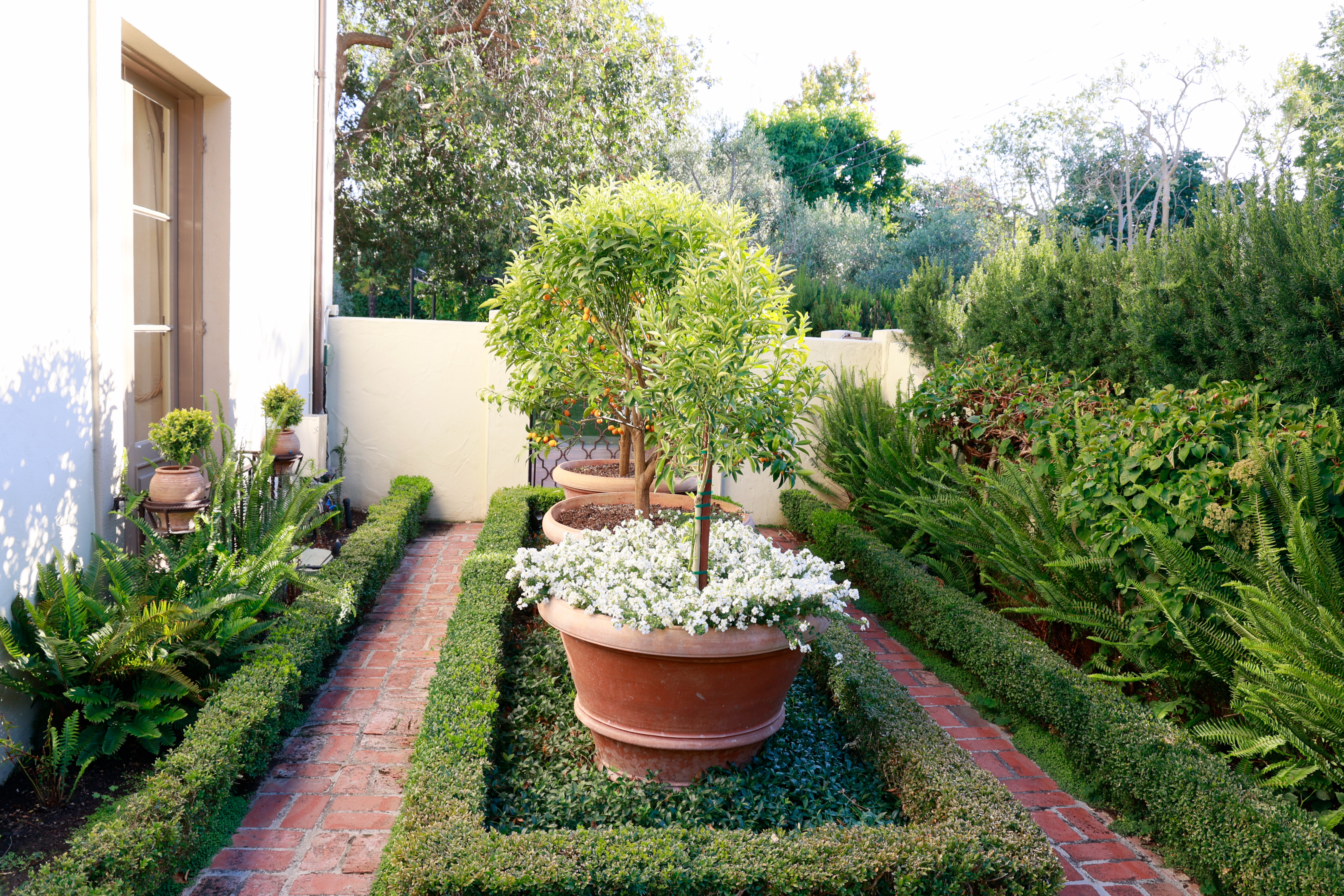 shaded garden with trimmed hedges