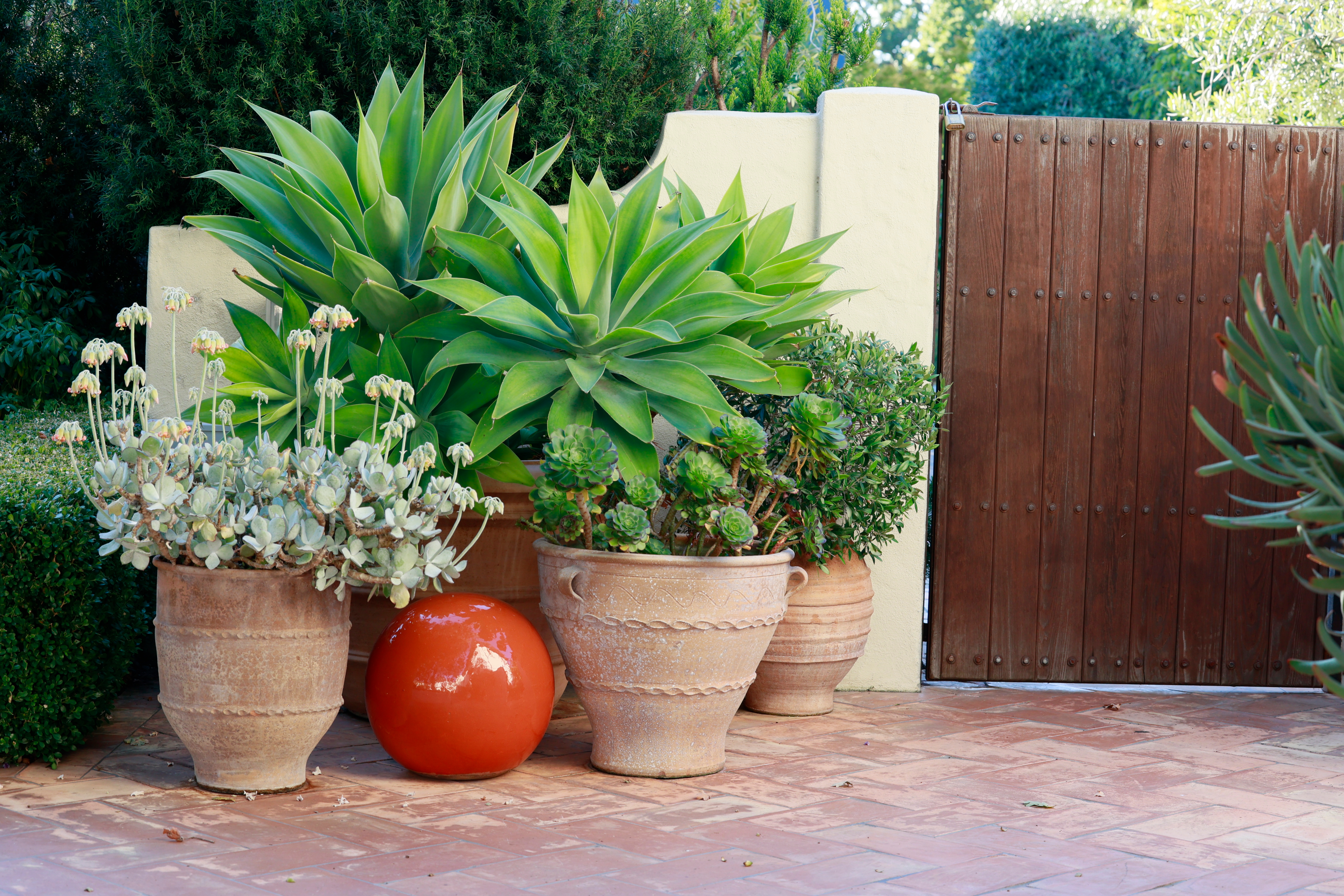 four ceramic plant pots next to wooden fence