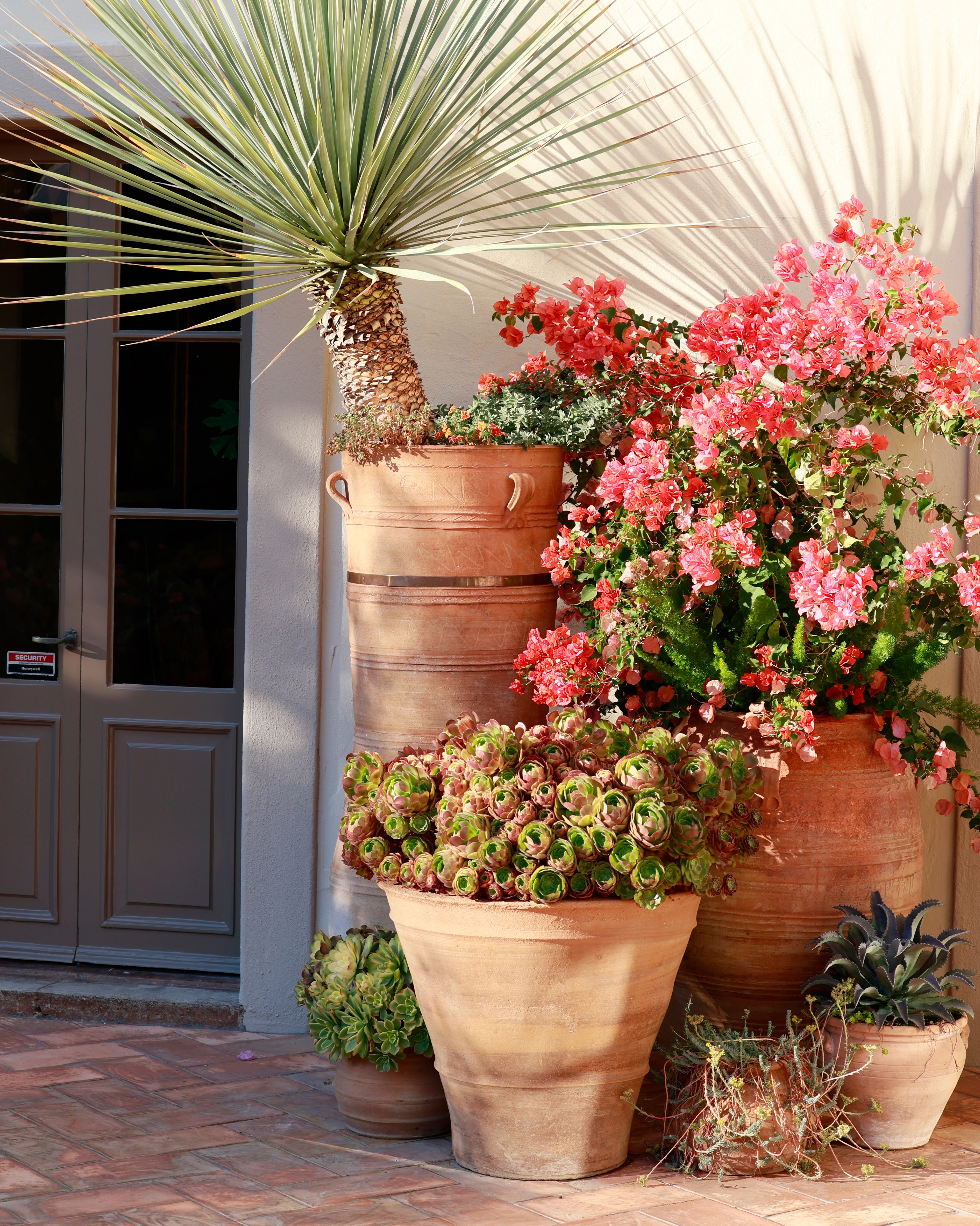 Pink Bougainvillea flowers in ceramic plant pot by doorway