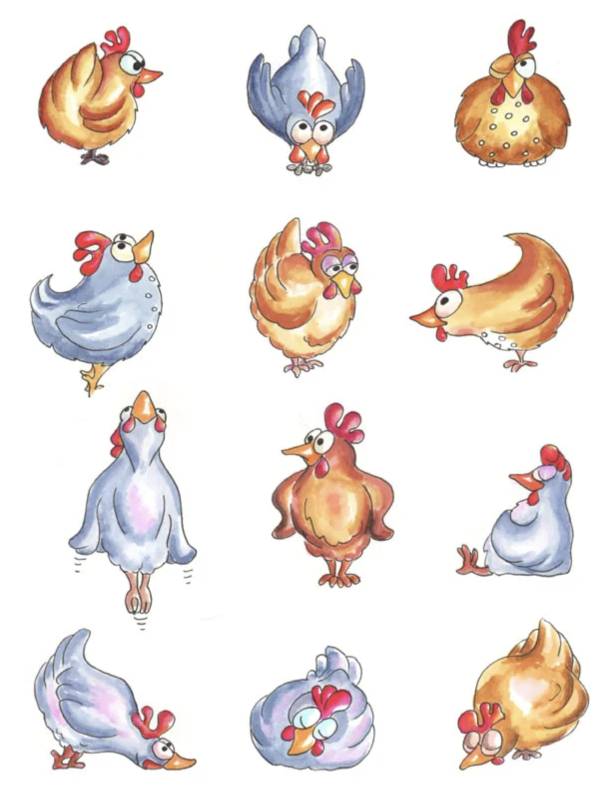 drawing of twelve chickens