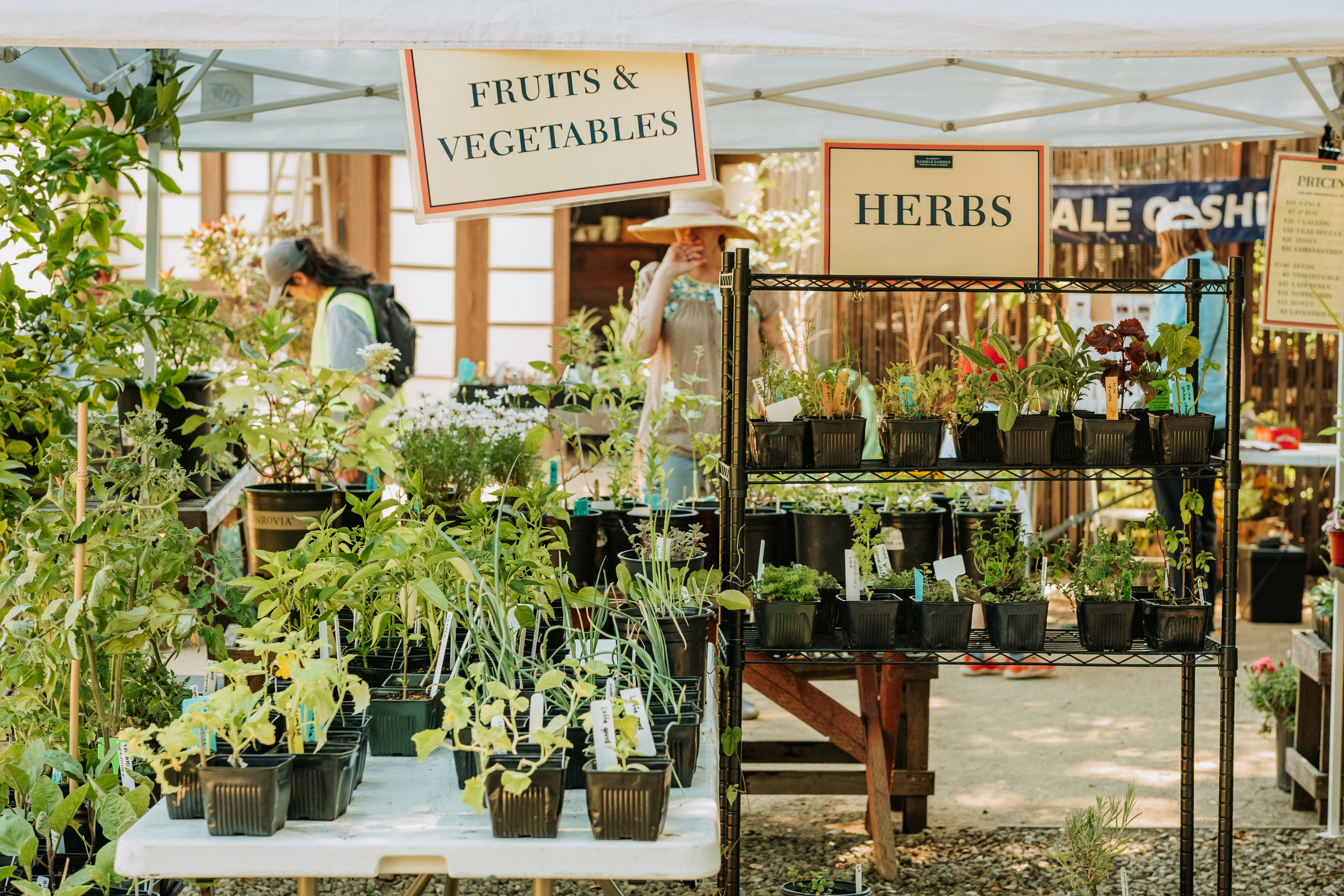 Plant Sale