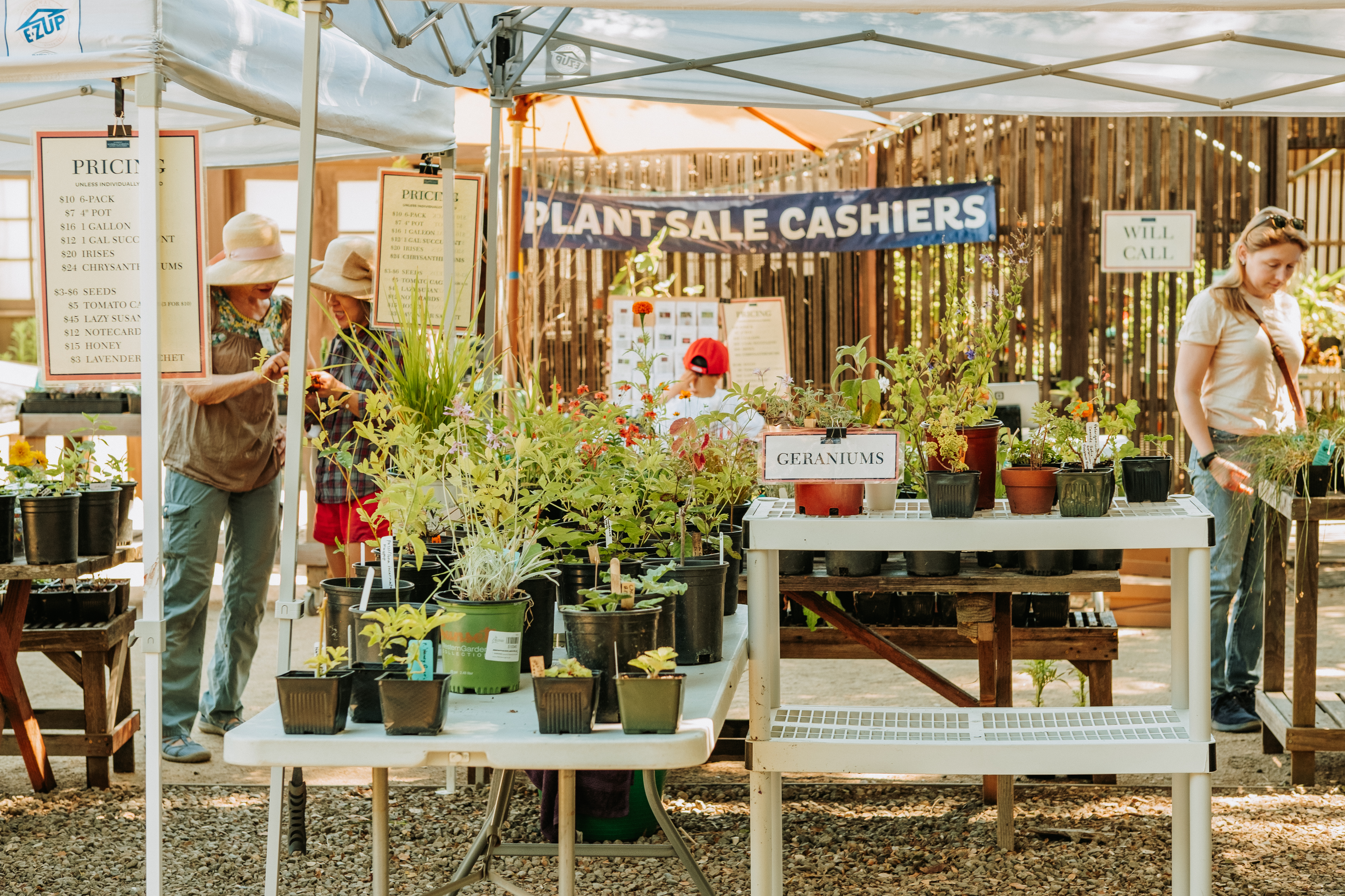 tent with tables holding plants